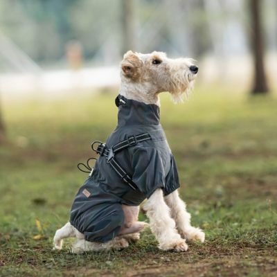Imperméable pour chien | Imperméable Chien Léger