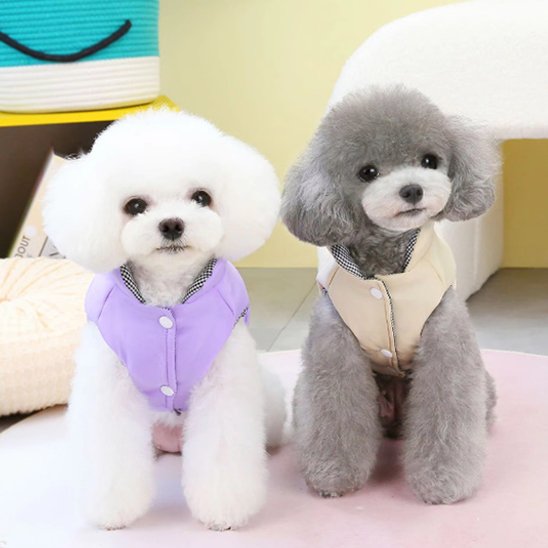 Manteau chien | Manteau Chien Douillet Hiver