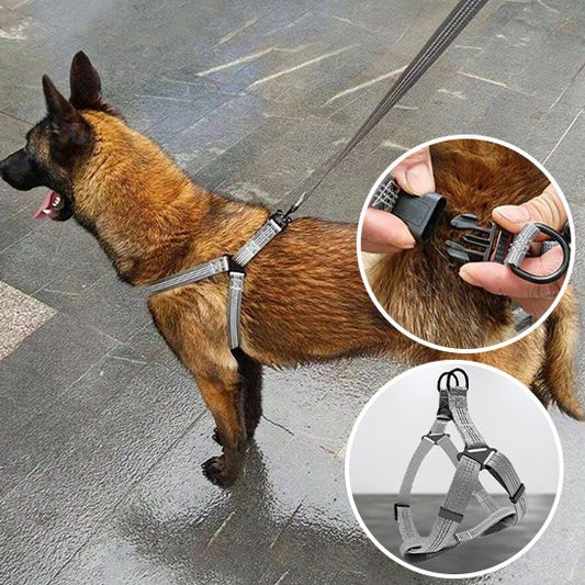 Harnais pour chien | Confortgrip