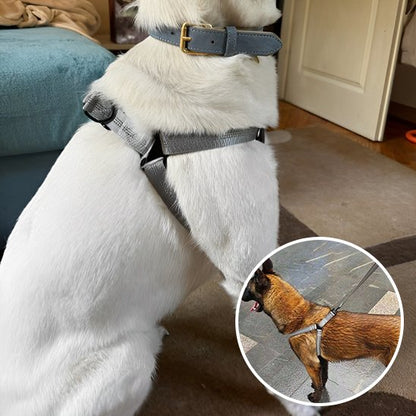 Harnais pour chien | Confortgrip