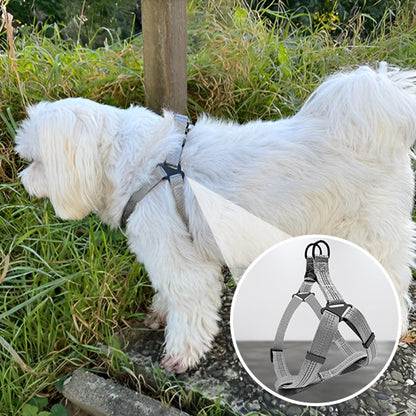 Harnais pour chien | Confortgrip