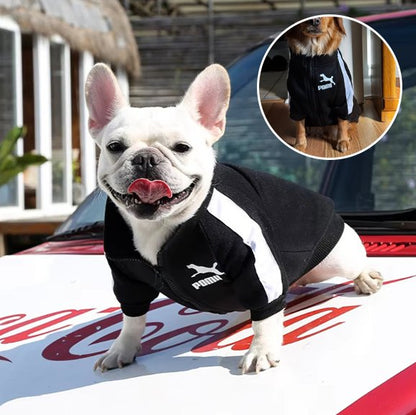 Pull chien | Star Puppy Sport Pull