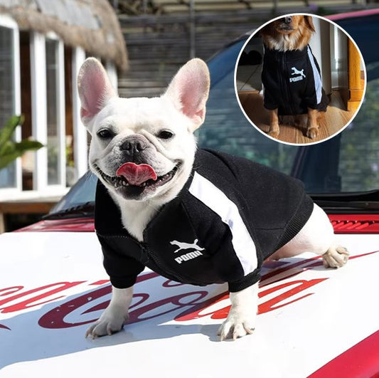 Pull chien | Star Puppy Sport Pull