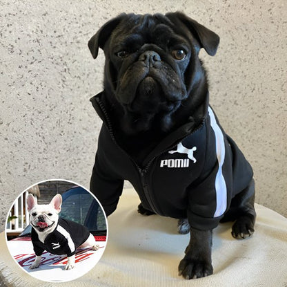 Pull chien | Star Puppy Sport Pull