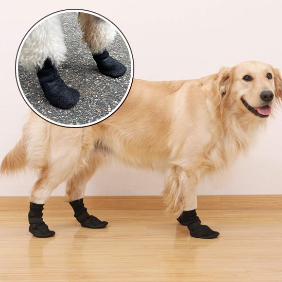 Chaussures chien | Protection Toutes Saisons