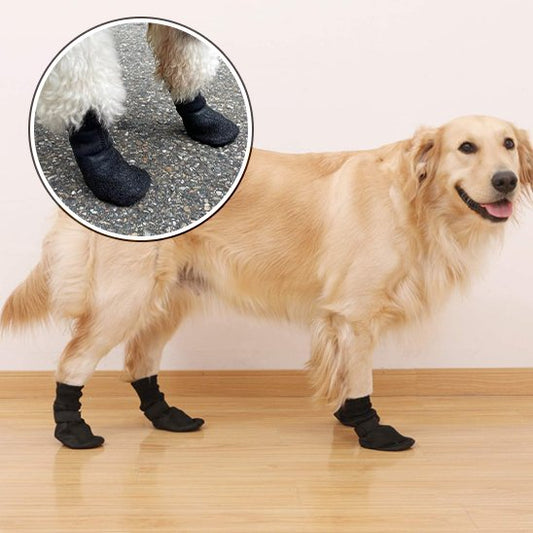 Chaussures chien | Protection Toutes Saisons