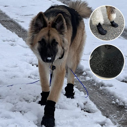 Chaussures chien | Protection Toutes Saisons