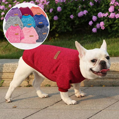 Pull chien | Pull Chien Douceur Stylisée