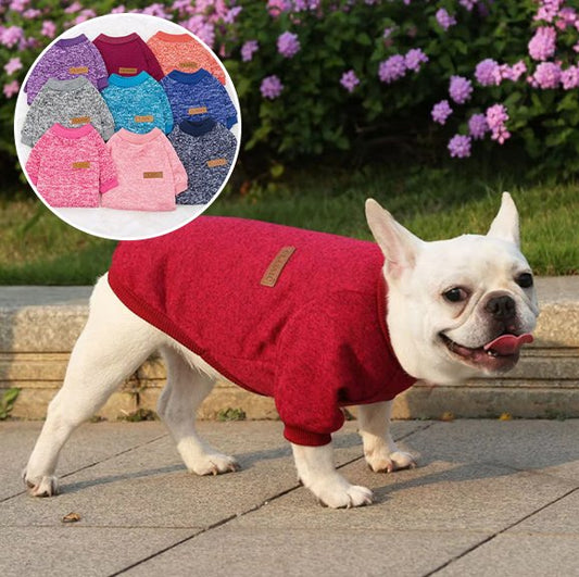 Pull chien | Pull Chien Douceur Stylisée