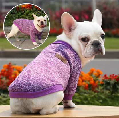 Pull chien | Pull Chien Douceur Stylisée