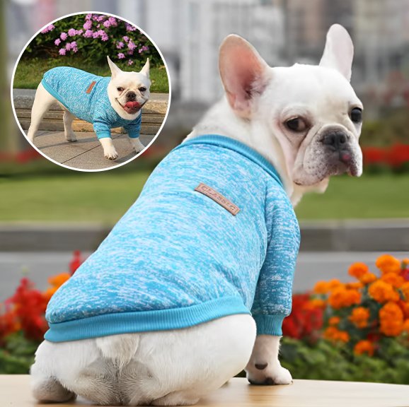 Pull chien | Pull Chien Douceur Stylisée