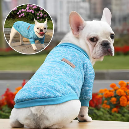 Pull chien | Pull Chien Douceur Stylisée