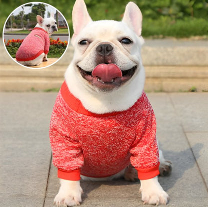 Pull chien | Pull Chien Douceur Stylisée