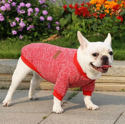 Pull chien | Pull Chien Douceur Stylisée