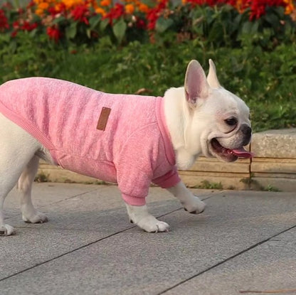 Pull chien | Pull Chien Douceur Stylisée