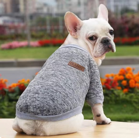 Pull chien | Pull Chien Douceur Stylisée