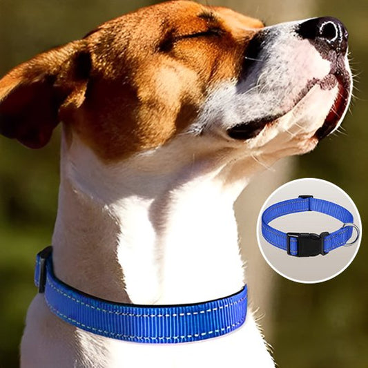 Collier pour chien | Collier Chien Sécurité Réflection