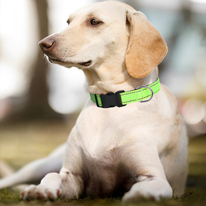 Collier pour chien | Collier Chien Sécurité Réflection