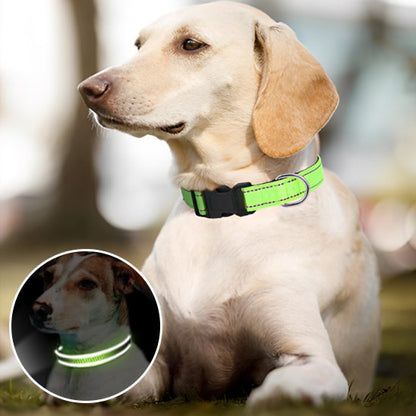 Collier pour chien | Collier Chien Sécurité Réflection