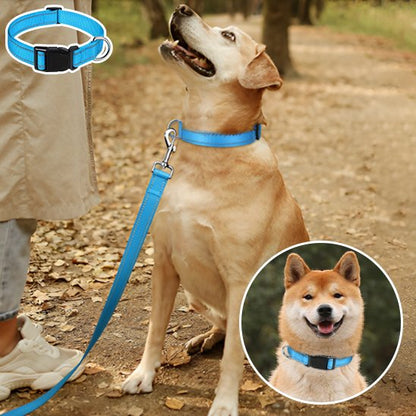 Collier pour chien | Collier Chien Sécurité Réflection