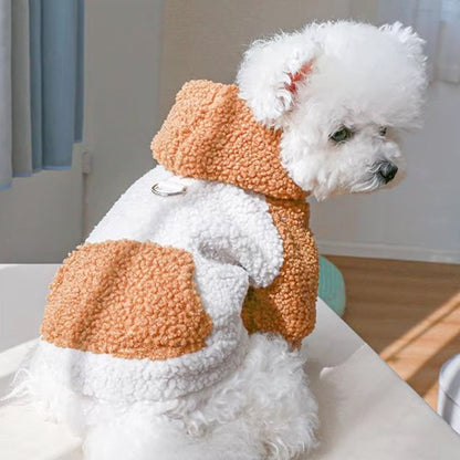 Pull chien | Pull Chien Hiver Stylé