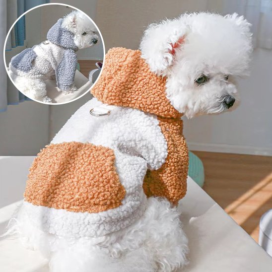 Pull chien | Pull Chien Hiver Stylé