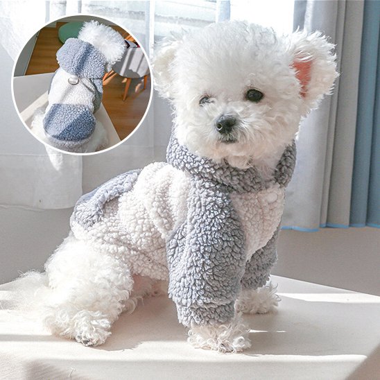 Pull chien | Pull Chien Hiver Stylé