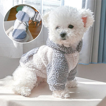Pull chien | Pull Chien Hiver Stylé
