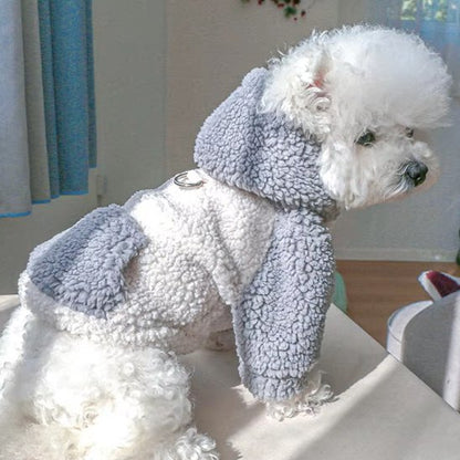 Pull chien | Pull Chien Hiver Stylé