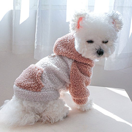 Pull chien | Pull Chien Hiver Stylé