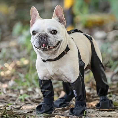 Bottes pour chien | Bottes Chien Protection Complète