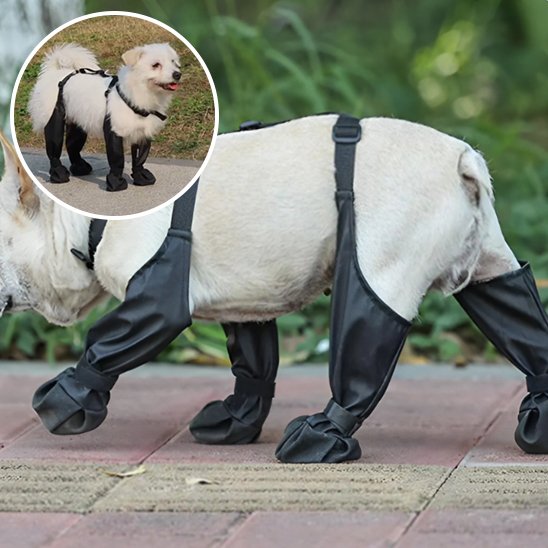 Bottes pour chien | Bottes Chien Protection Complète