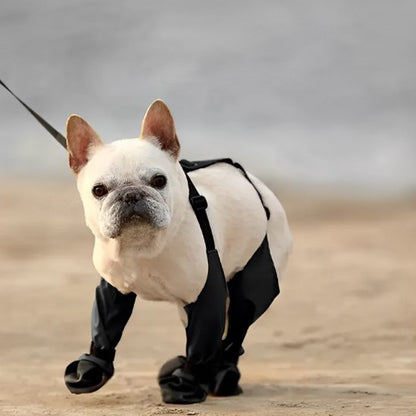 Bottes pour chien | Bottes Chien Protection Complète