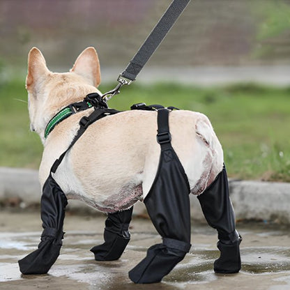 Bottes pour chien | Bottes Chien Protection Complète