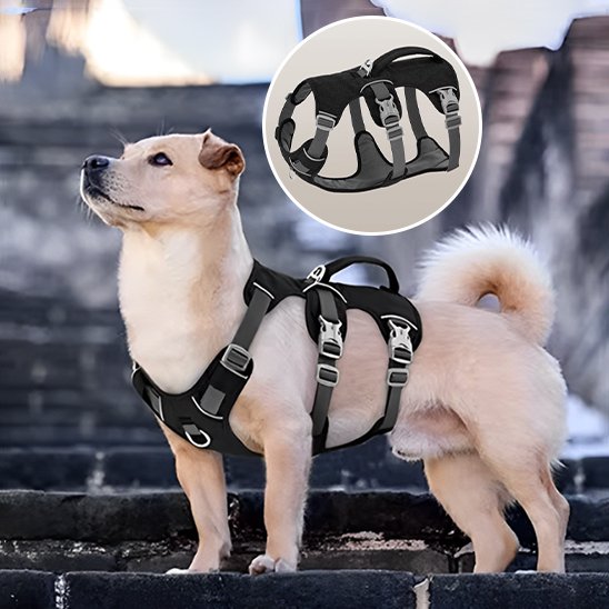 Harnais pour chien | Harnais Canin Ajustable Premium