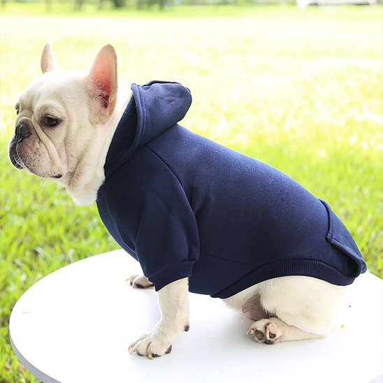 Pull pour chien | Pull Chien Star Puppy
