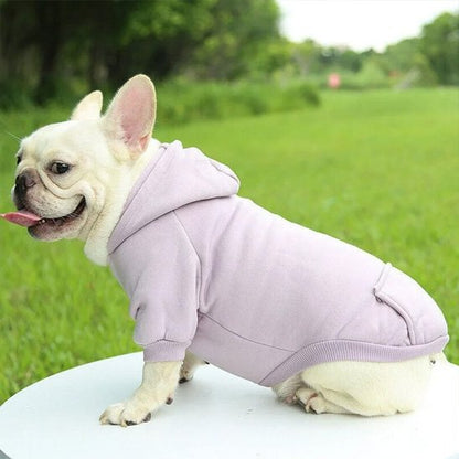 Pull pour chien | Pull Chien Star Puppy