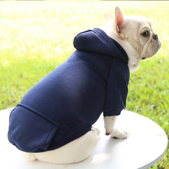 Pull pour chien | Pull Chien Star Puppy