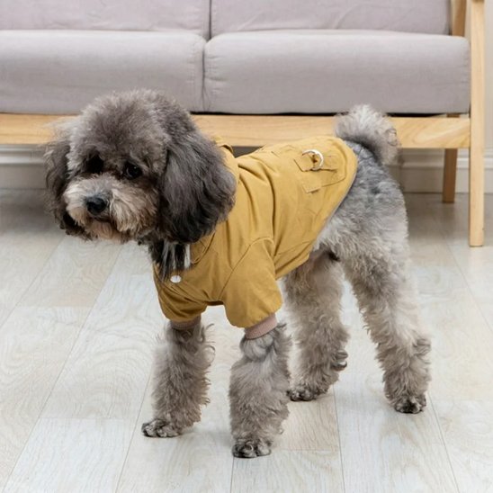 Manteau pour chien | UrbanParka Chien