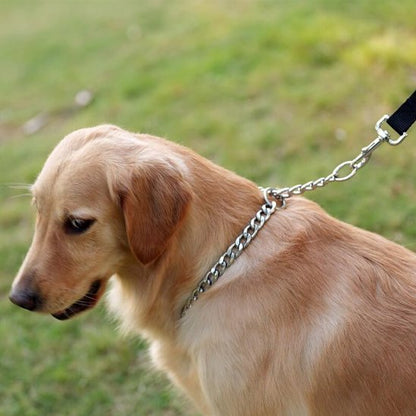 Collier pour chien | Collier Acier Inoxydable Maille Gourmett