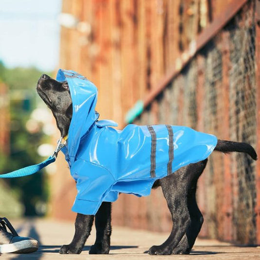 Manteau pour Chien | AllWeather Pro Manteau