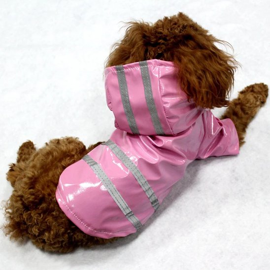 Manteau pour Chien | AllWeather Pro Manteau