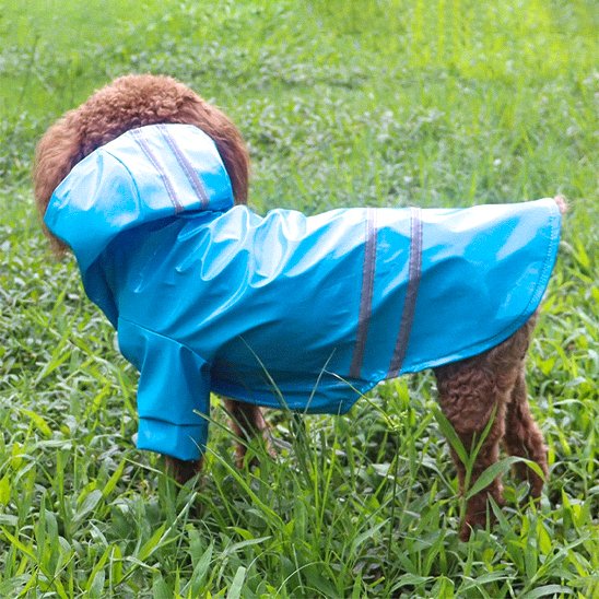 Manteau pour Chien | AllWeather Pro Manteau