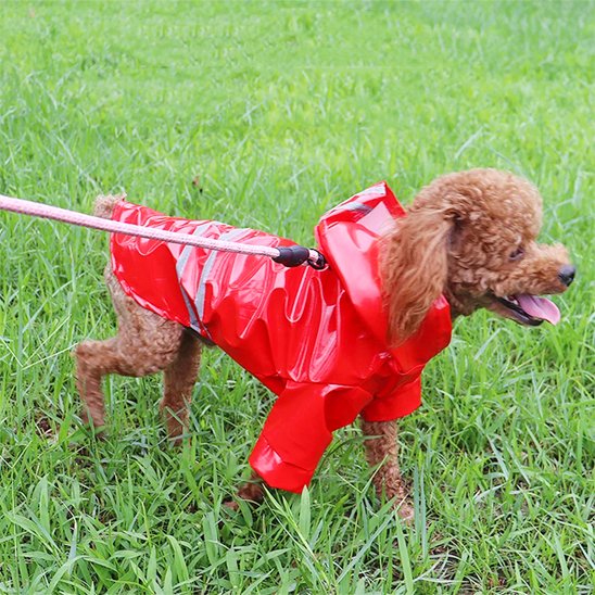 Manteau pour Chien | AllWeather Pro Manteau