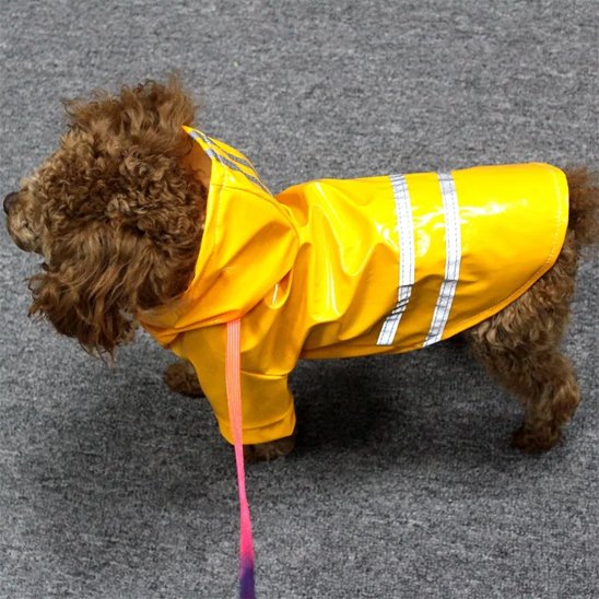 Manteau pour Chien | AllWeather Pro Manteau