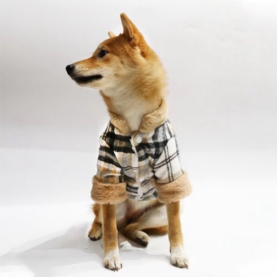 Manteau pour chien imperméable | Manteau d'Hiver Motif Tartan