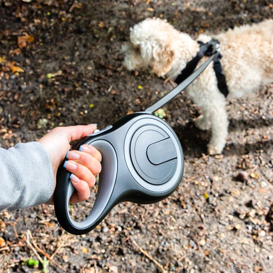 Laisse pour Chien | EasyControl Laisse