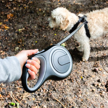 Laisse pour Chien | EasyControl Laisse