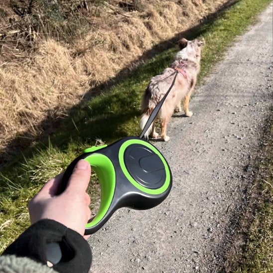 Laisse pour Chien | EasyControl Laisse