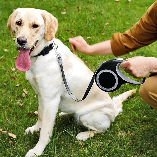 Laisse pour Chien | EasyControl Laisse